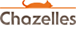 https://www.chazelles.com/categorie-produit/poeles/poeles-a-bois/